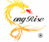 Longrise Technology International Co Ltd