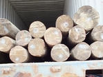 postes de pino amarillo del sur