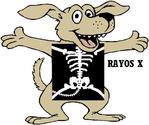 rayos x