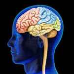 NEUROLOGOS A DOMICILIO