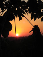 HOTEL RURAL SAN IGNACIO COUNTRY CLUB MISIONES  PARAGUAY