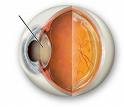 CUIDADO CON EL GLAUCOMA