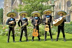 Mariachi in Belgium